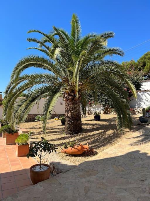 Casa Serenita Charming Villa With Swimming Pool Jávea Kültér fotó